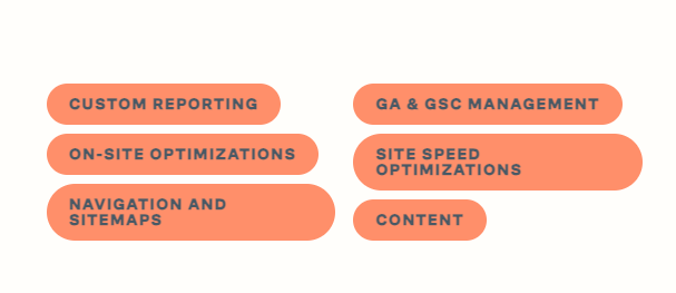 seo services in new jersey